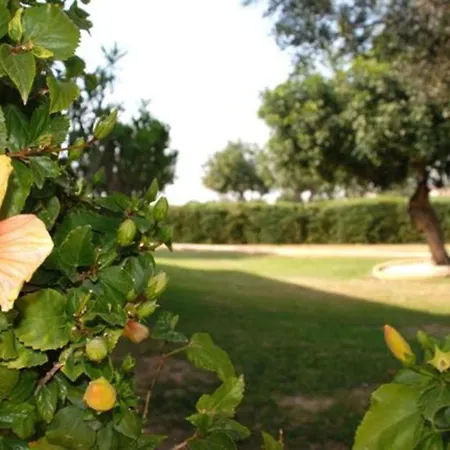 Villa “you Can Rent This On A 5 Star Resort”paparouna Kouklia